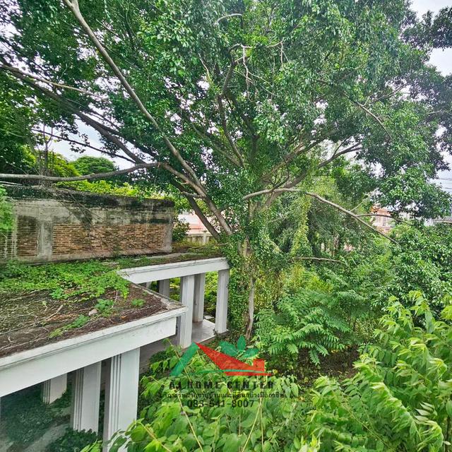 ขายโครงสร้างบ้านเก่าพร้อมที่ดิน ขนาด474ตรว. ซ.นนทบุรี8 ถ.เลี่ยงเมืองนนทบุรี13/1 ราคาพร้อมคุย 17