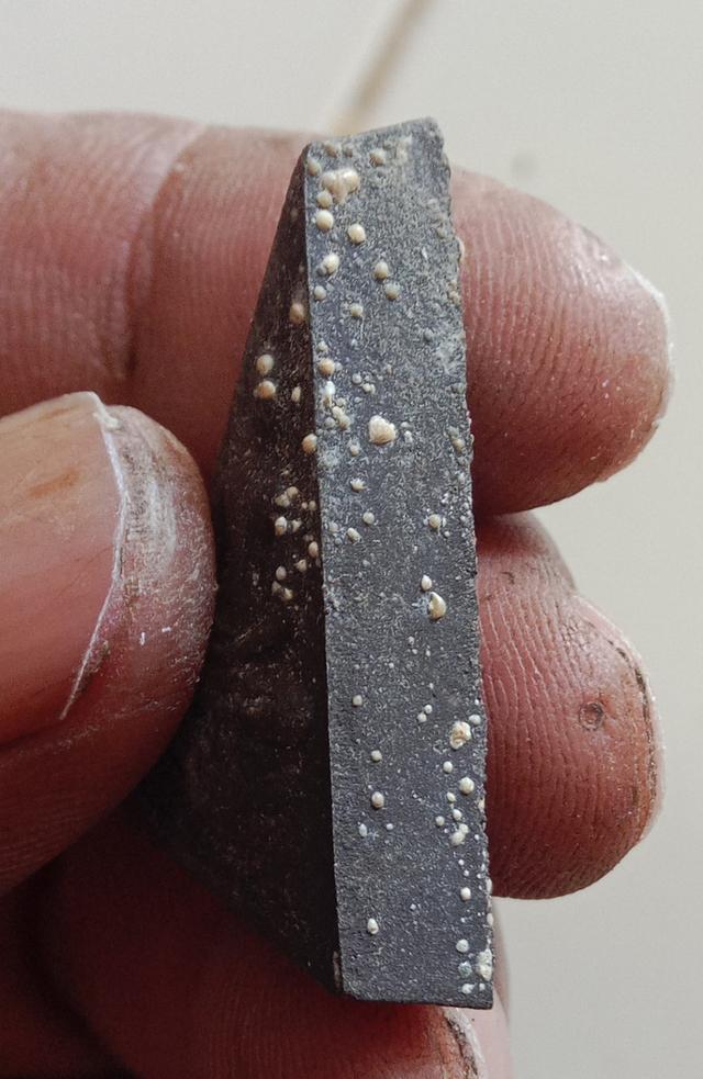 พระสมเด็จจิตรลดา2 พระพลังแผ่นดิน 7