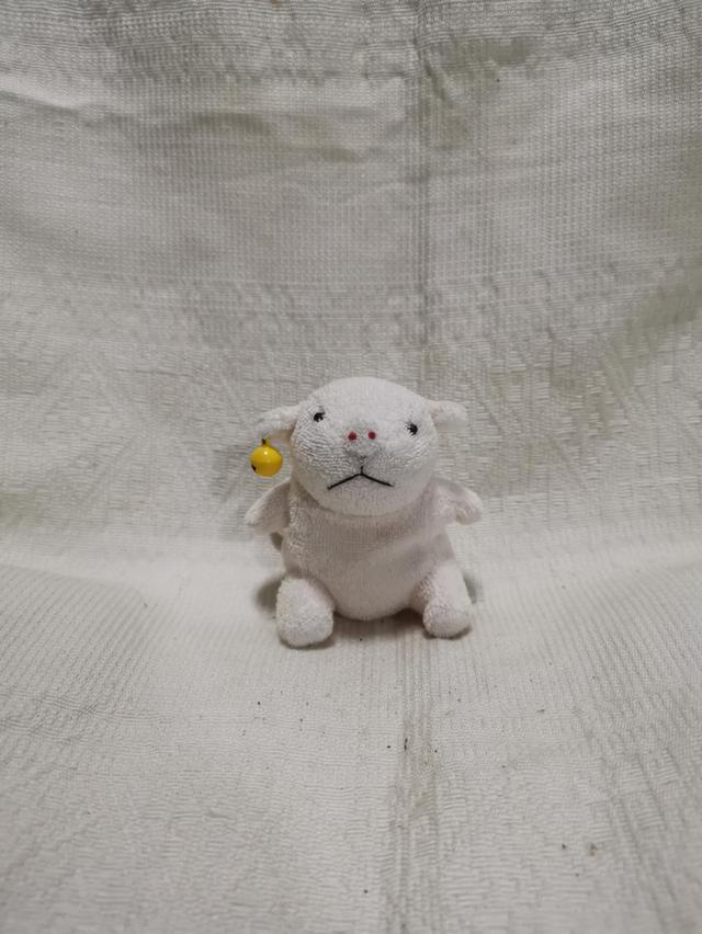 cute doll piggy and cat black  3