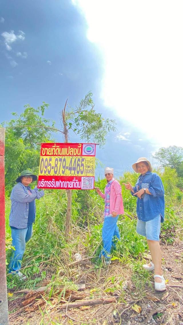 ขายด่วนที่ดินผังม่วง 200 ตารางวา ติดถนนสาธารณะ ต.ไทรใหญ่ อ.บางบัวทอง จ.นนทบุรี 1