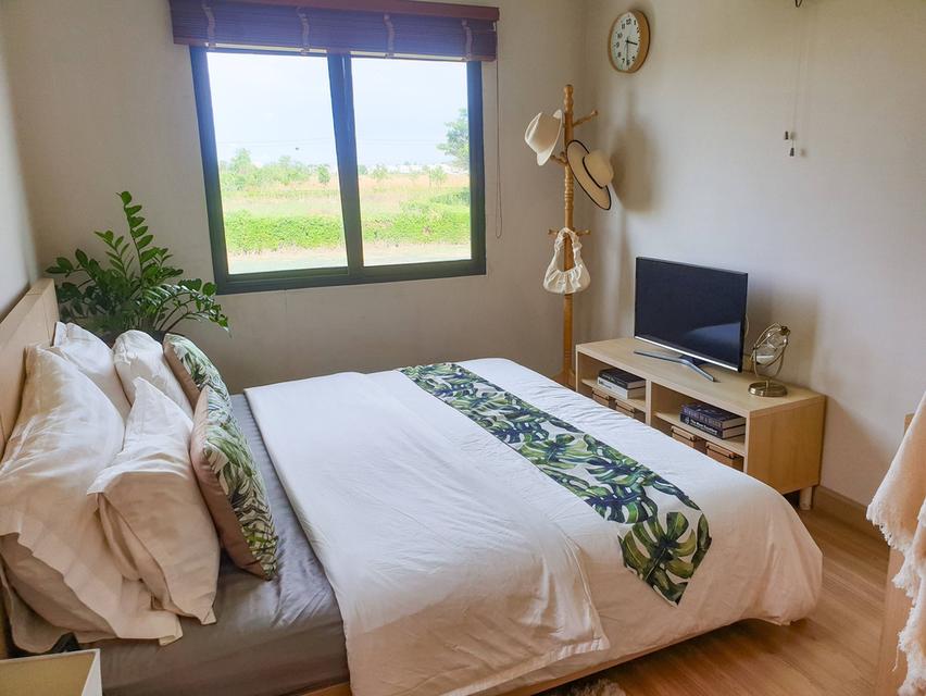 ขาย/ปล่อยเช่า Areeya Como Primo  Bangna บ้าน Tropical Resort Style 7