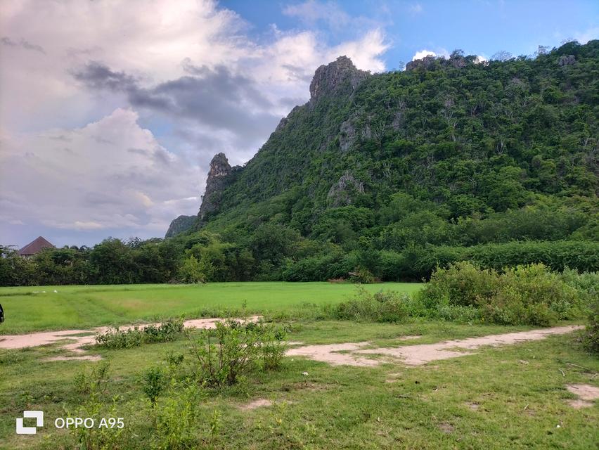 ที่ดินติดภูเขา (เขานางพันธุรัต) 5