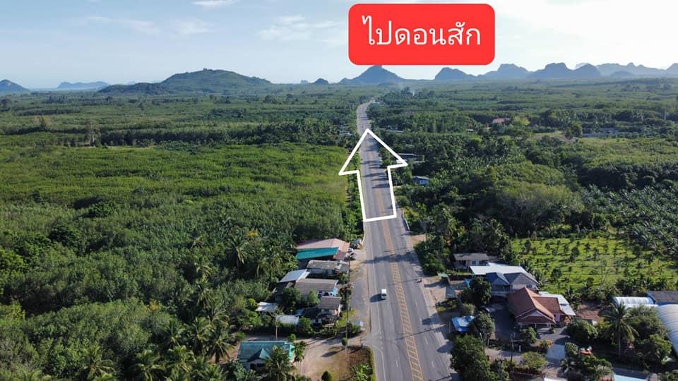 ขายที่ดินทางไปท่าเรือเกาะสมุยติดถนนใหญ่อำเภอดอนสัก 6