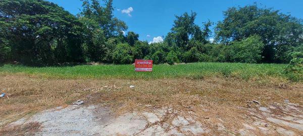 รูป ขายที่ดิน 590 ตร.ว. ใน ต.เขาสามยอด อ.เมืองลพบุรี เหมาะสำหรับ ปลูกบ้าน โทร 085-111-9090