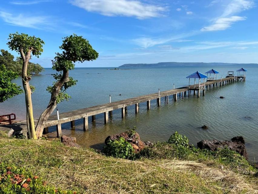 รีสอร์ทเกาะหมาก8ไร่3งาน