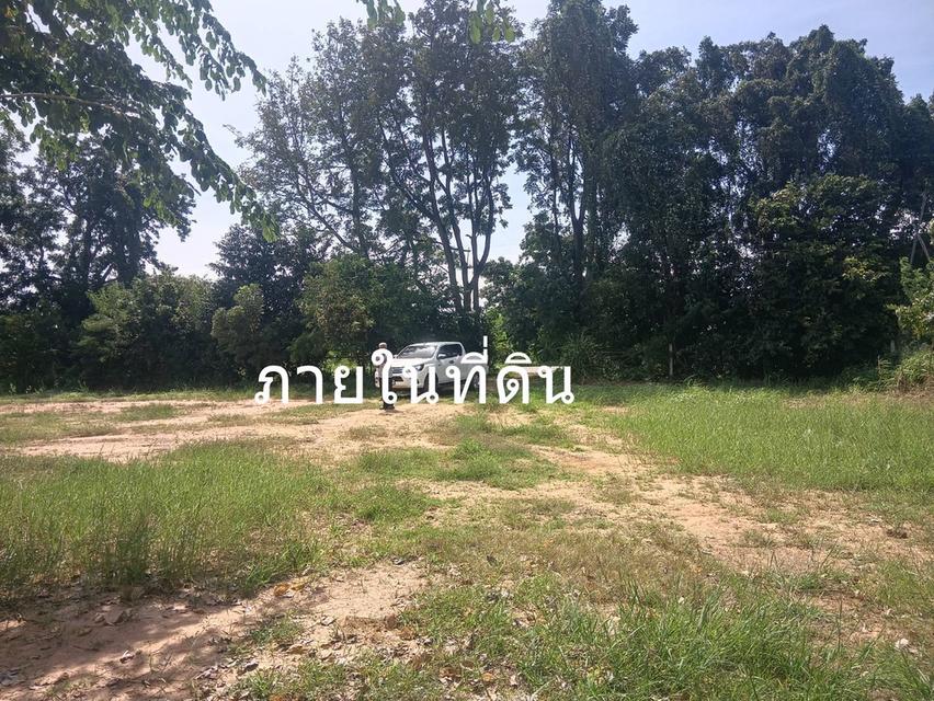 ขายที่ดิน 3 ไร่ ต.บ้านโสก อ.คอนสวรรค์ ชัยภมิ ติดถนนดำมีน้ำไฟขาย 1.2 ล้าน 7