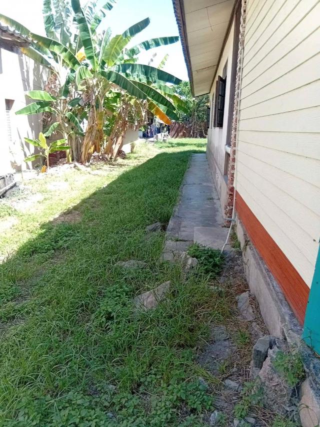 ขายบ้านพร้อมที่ดิน เนื้อที่ 143.5 ตร.ว. ทำเลดี ใจกลางเมืองภูเก็ต 6