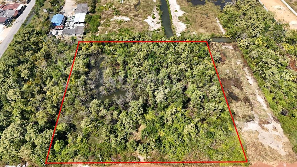 ที่ดินเปล่า 4 ไร่ แบ่งขายได้แปลงละ 1 ไร่ บางปะกง - ฉะเชิงเทรา ราคาถูก 6