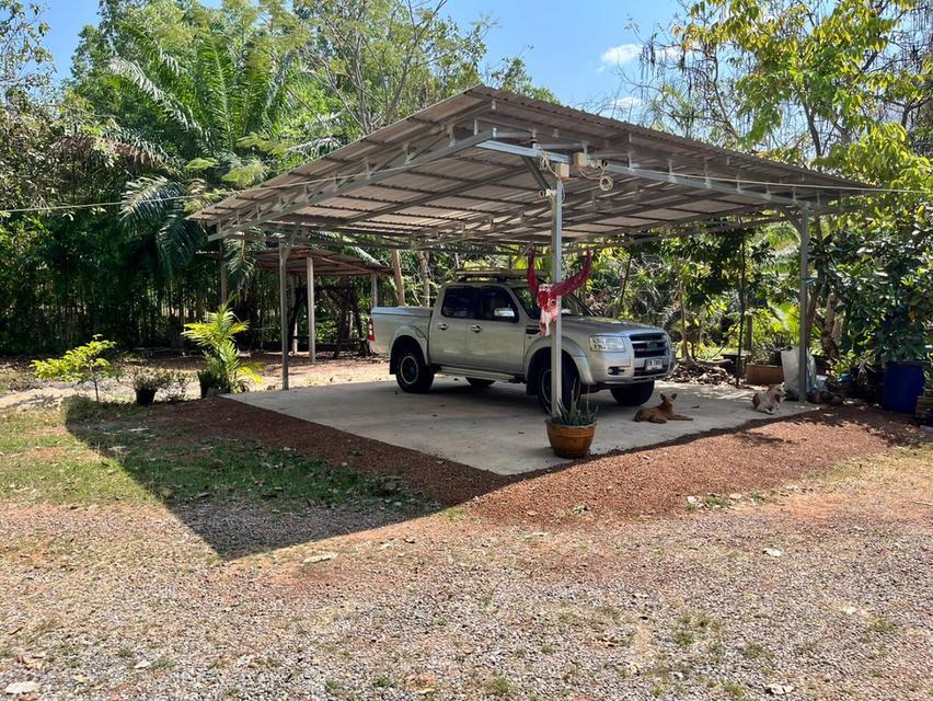 ขายที่ดินติดเขื่อนลำปาว กาฬสินธุ์ พื้นที่รวม 55 ไร่ เหมาะพัฒนารีสอร์ทหรือโครงการท่องเที่ยว 15