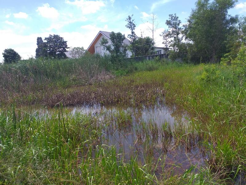 ขายที่โฉนด จำนวน 1 งาน 92 ตรว ที่ดินสี่เหลี่ยมสวย รังสิต ปทุมธานี 10