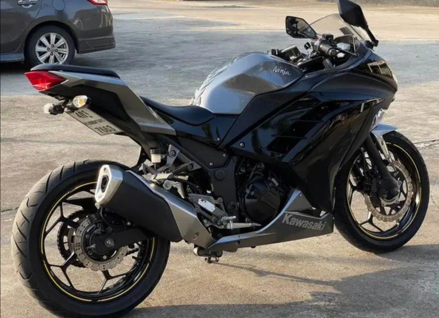 2015 Kawasaki Ninja 300 1