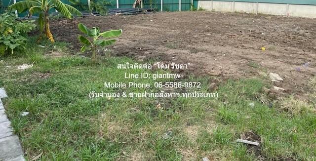 DSL-924.2 ขาย ที่ดิน ขายที่ดินเปล่าถมแล้ว และมีรั้วแล้ว (ใกล้ตลาดเวิลด์มาร์เก็ต) 100 ตร.ว. ราคา 3 ล้านบาท กรุงเทพ ทวีวัฒ 4