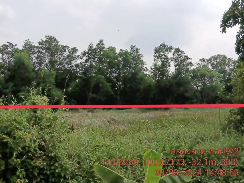 ‼️ขายที่ดินเปล่าถูกมากๆ คลองหลวง ซอยคลอง 3 9/2 3