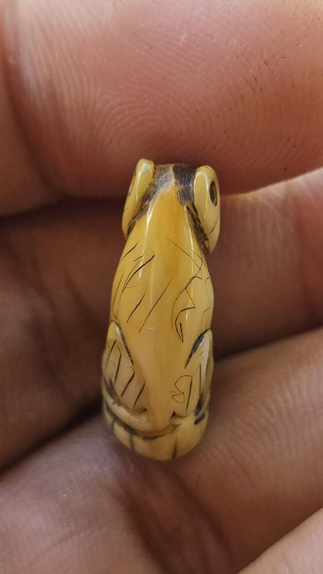 เสือแกะหลวงพ่อปาน วัดคลองด่าน 11