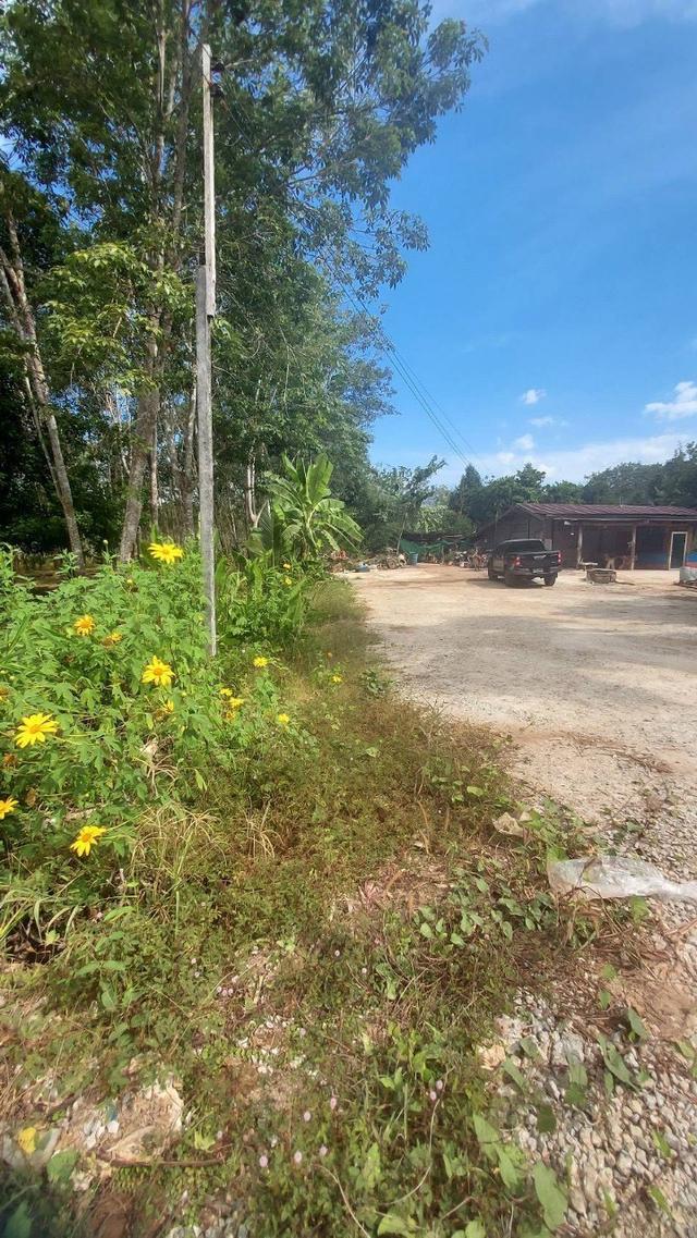 ขายถูก บ้านพร้อมที่ดินบนเนื้อ 3 ไร่ 1 งาน 71 ตรว อ. ไทรโยค กาญจนบุรี 6