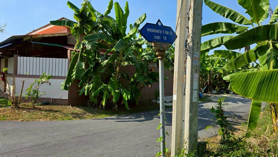 ขายด่วนที่ดินพุทธมณฑลสาย 3 เนื้อที่ 57 ตรว ติดถนนลาดยาง ซ.19 แยก 16  เขตตลิ่งชัน กทม. 1