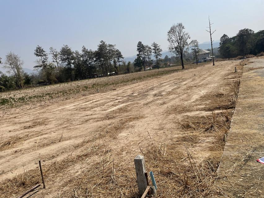 ที่ดิน บ้าน บ้านมือสอง จังหวัดเลย 4
