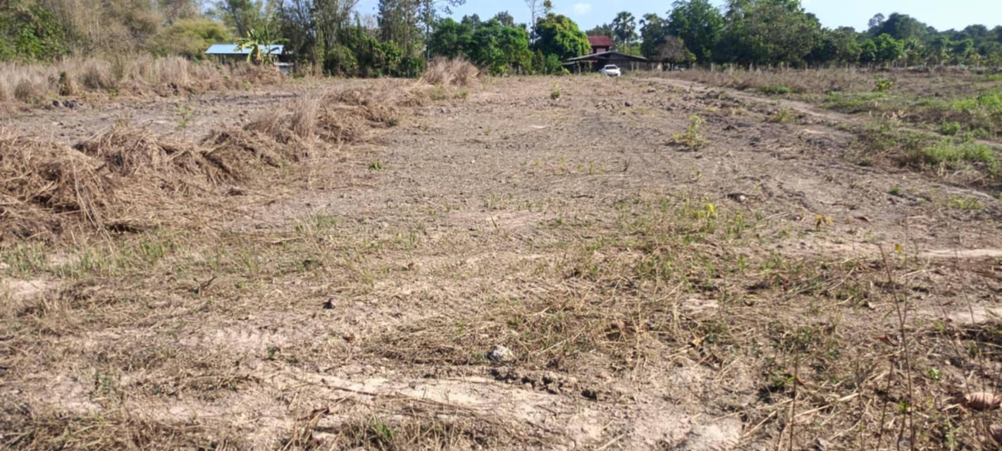 ขายที่ดินนนทรี 10 ไร่ ใกล้ถนนเส้นสุวรรณศร33-2.3กม. อ.กบินทร์บุรี จ.ปราจีนบุรี 3
