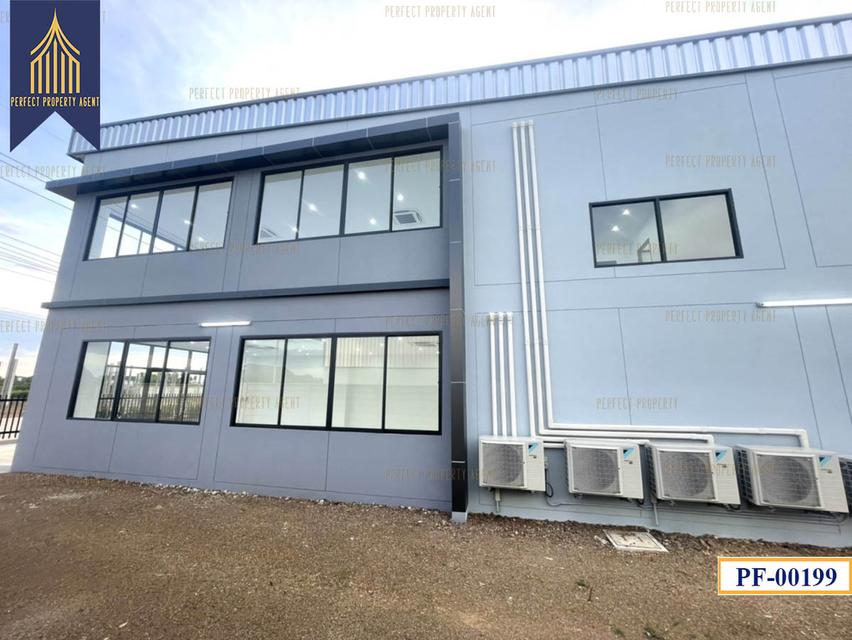 New Factory for sale สีม่วงเข้ม หลายขนาด ลำลูกกา ปทุมธานี 16