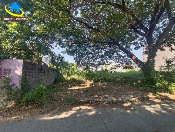 ขายที่ดิน 99 ตารางวา ซอยนาคนิวาส 37 แยก 2 ลาดพร้าว 1