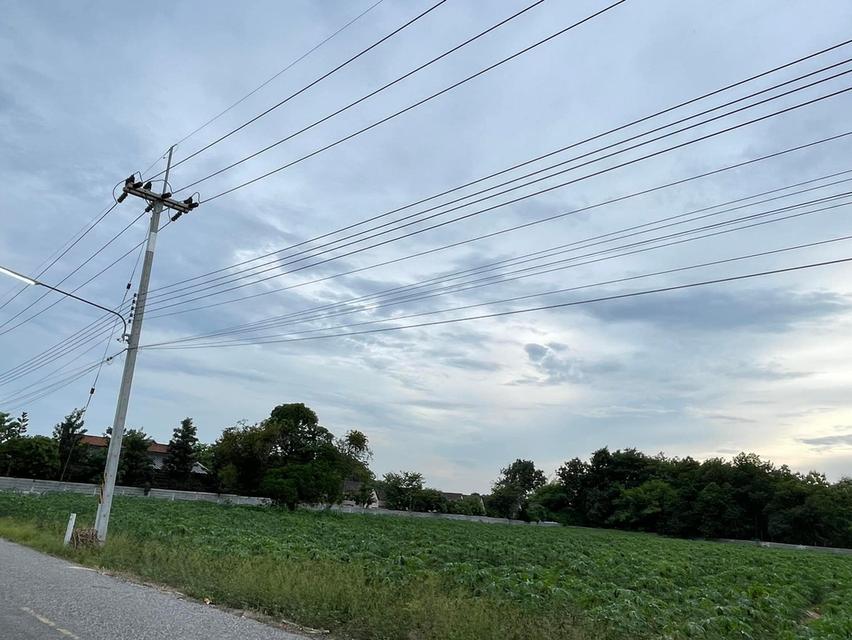 ขายที่ดินหนองเหียง พนัสนิคม 3 ไร่ บ้านไทรคู่ซอย13 ใกล้ถนน3086-1กม. อ.พนัสนิคม จ.ชลบุรี 1