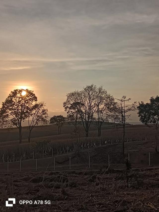 ที่ดินเปล่า ล้อมรั้วเรียบร้อย ถนน 3139 วังน้ำเขียว 4