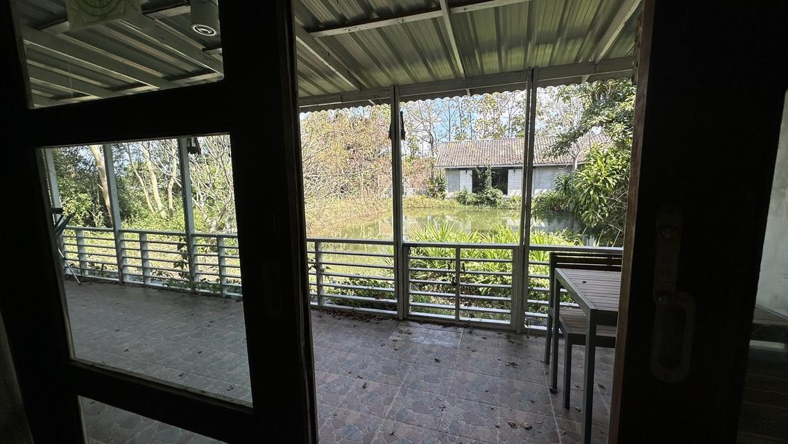 ขายบ้านพร้อมกิจการร้านกาแฟ ห้องพักออนเซน บนเนื้อที่ 4 ไร่ 11