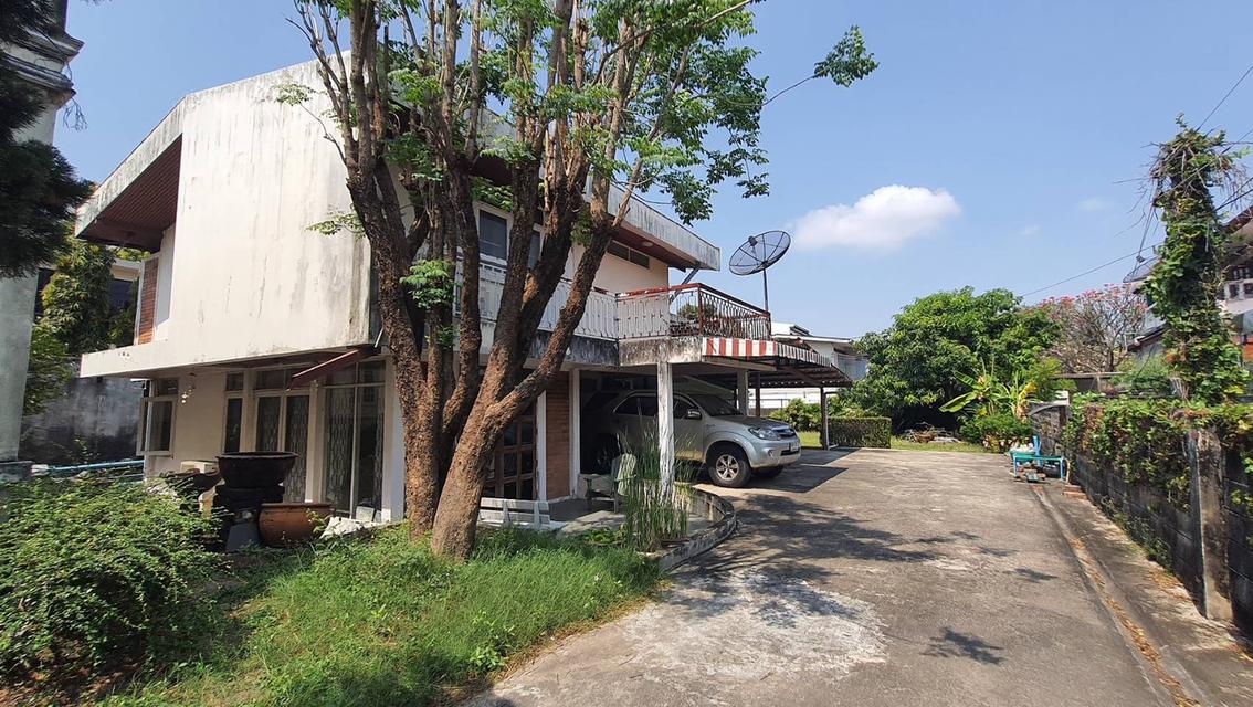ขายที่ดินซอยสุขุมวิท 54 ขนาด 200 ตร.ว พร้อมบ้านและสำนักงาน  5