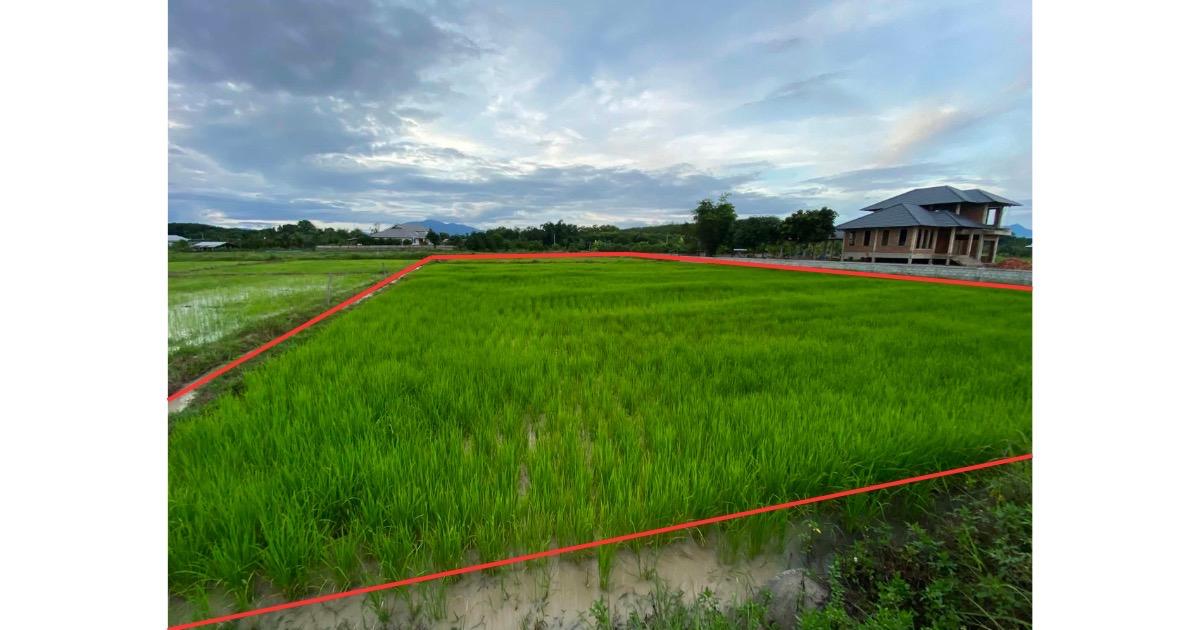 ที่ดิน1ไร่1งาน50ตรว. 11