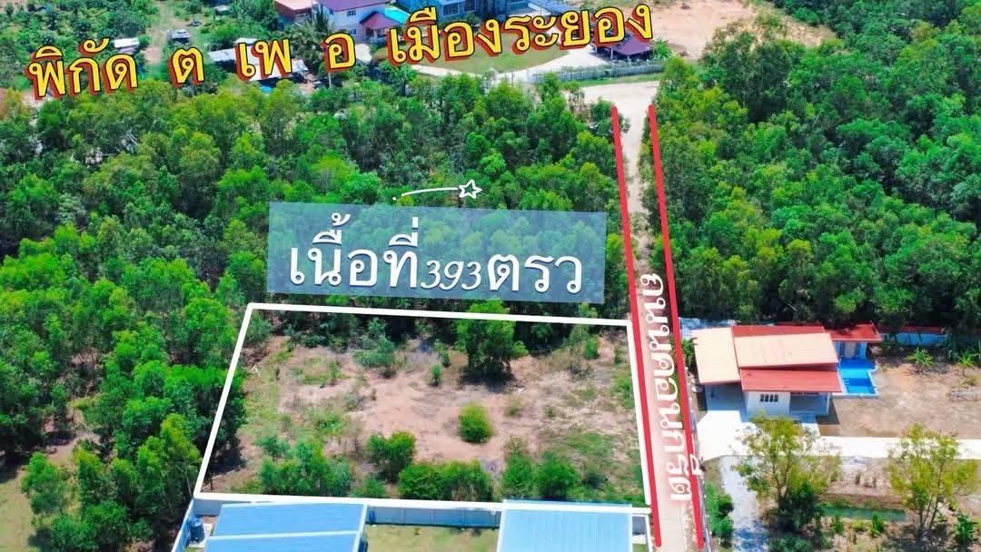 ขายที่ดินเปล่าใกล้ชายหาดแม่รำพึงจ.ระยอง เนื้อที่ 393 ตรว.ขายราคา4.200.000ลบ. 6