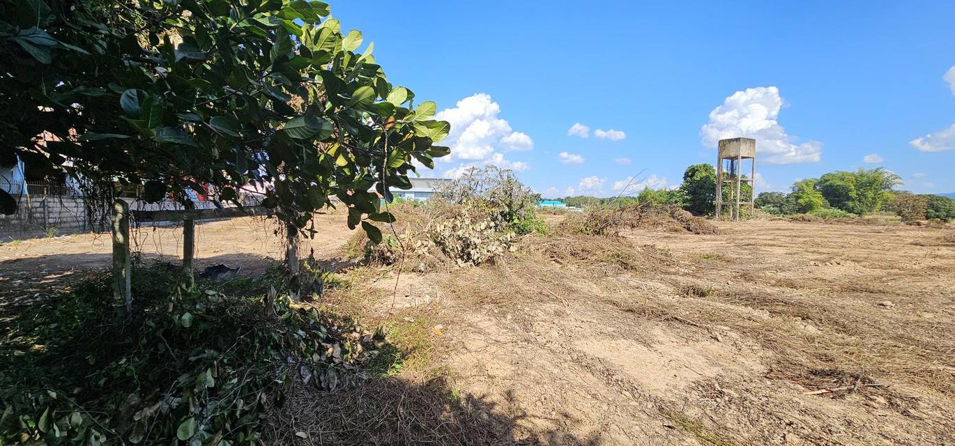 ที่ดินพร้อมอาคารพานิชย์ 3