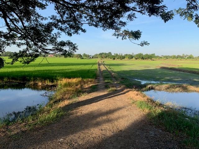 ขายที่ดิน 64 ไร่ ซอยสนามยิงปืนราชสีห์ อำเภอสามโคก จังหวัดปทุมธานี 3