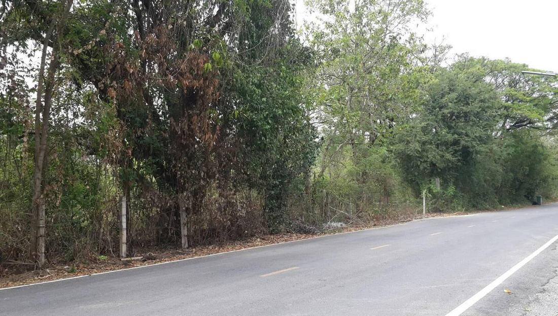 ที่ดินติดแม่น้ำแควใหญ่ กาญจนบุรี 5-3-66 ไร่ 4