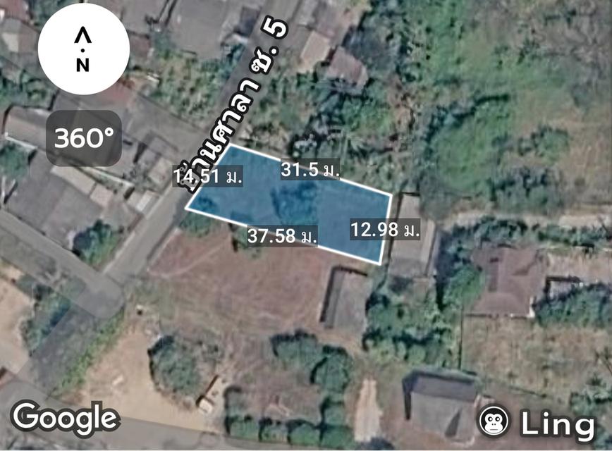 ที่ดินเปล่า 123 วา² แม่ริม เชียงใหม่ 3