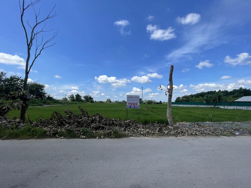 ขายที่ดิน 2 แปลงสวยรวม 5 ไร่ 2 งาน 76 ตรว Land for sale 2 Plots Total 5 Rai 2 Ngan 76 Sq.wa 3