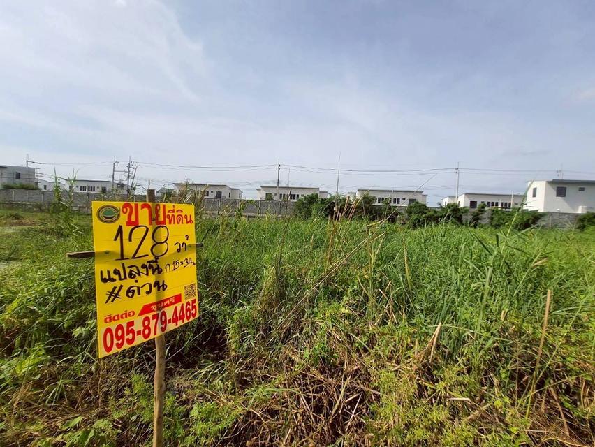 ขายด่วนที่ดินซอยวัดคลองตาคล้าย 128 ตรว ติดถนนสาธารณะ อ.ไทรน้อย จ.นนทบุรี 1