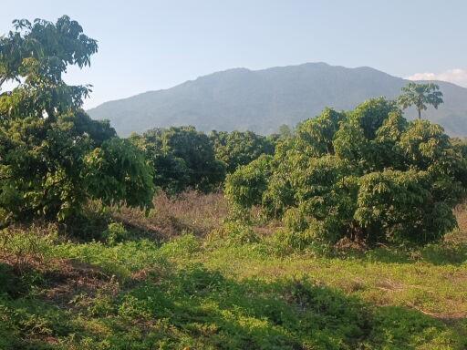 ที่ดินติดลำธารวิวเขาล้อมรอบ 9