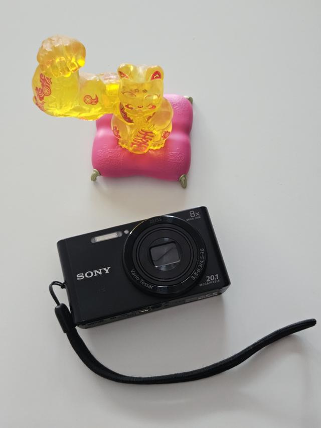 Sony Cybershot​W830​