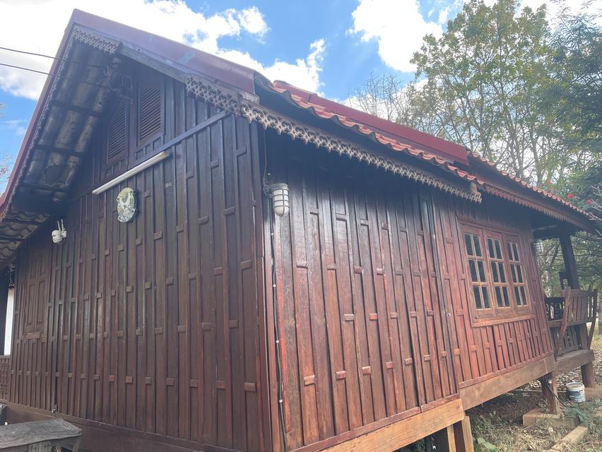 ขายที่ดินพร้อมบ้านพักตากอากาศ ทำเลทอง หนองน้ำแดง เขาใหญ่ นครราชสีมา 14