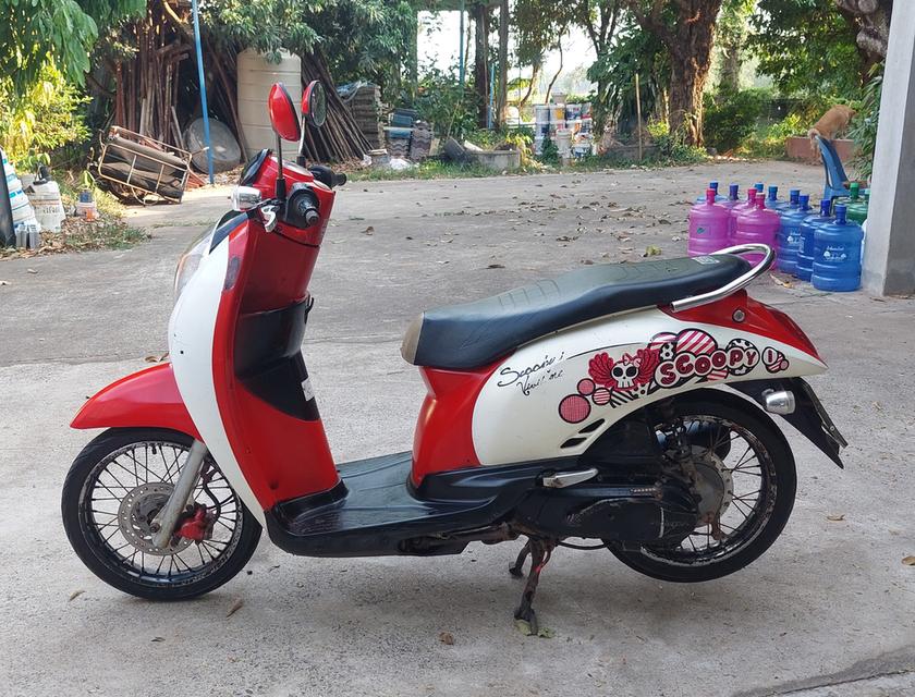 Honda Scoopy i มือสอง