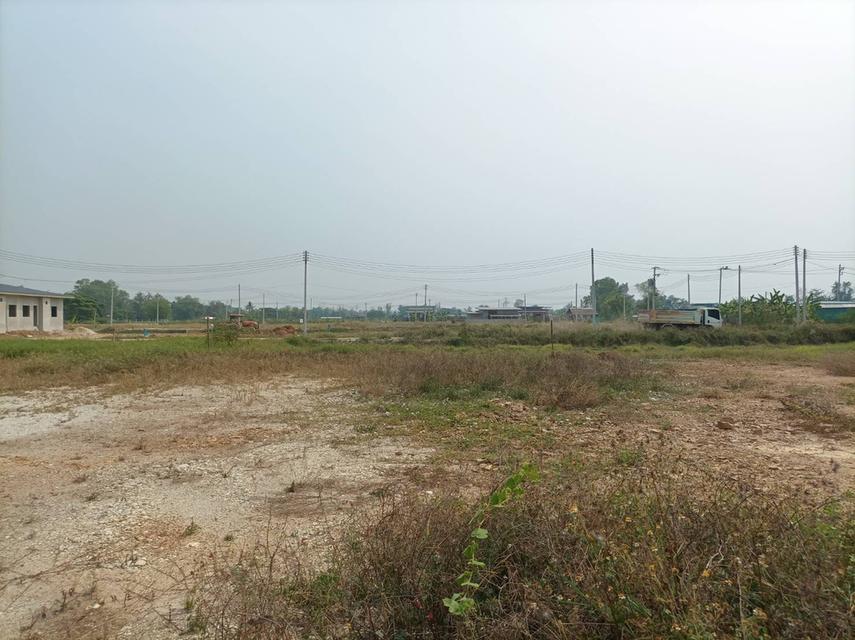 ขายที่ดิน ราคา7,900บาท/ตร.ว. ต.สำราญราษฏร์ อ.ดอยสะเก็ด จ.เชียงใหม่ 5