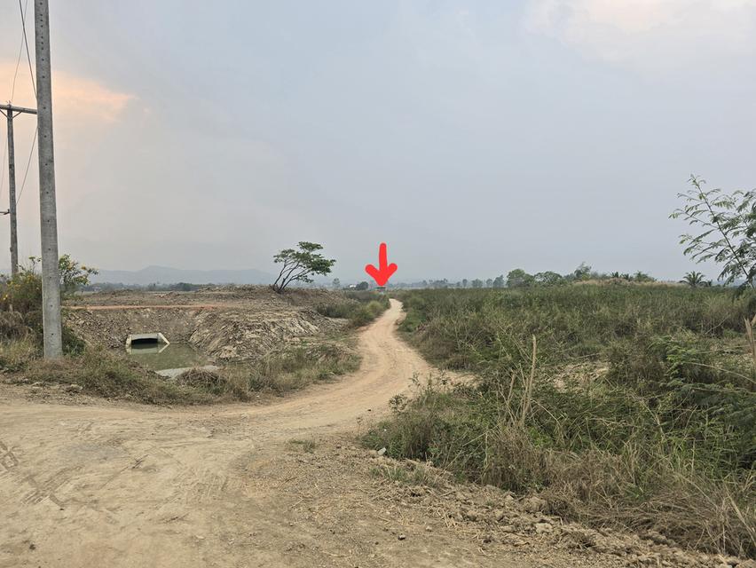 ที่ดินสวยทำเลดีใกล้กว๊านพะเยา 4