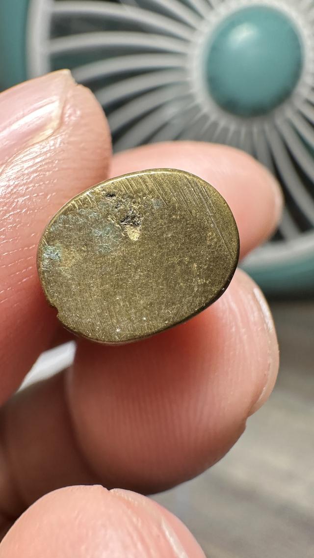 เครื่องรางเสือไม่ทราบที่ รูปที่ 5