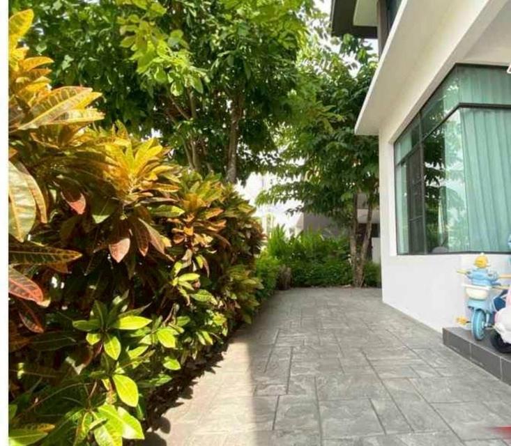  ให้เช่าบ้านเดี่ยวมัณฑนาเลควัชรพล โครงการ 2 บ้านพร้อมเฟอร์นิเจอร์ 3