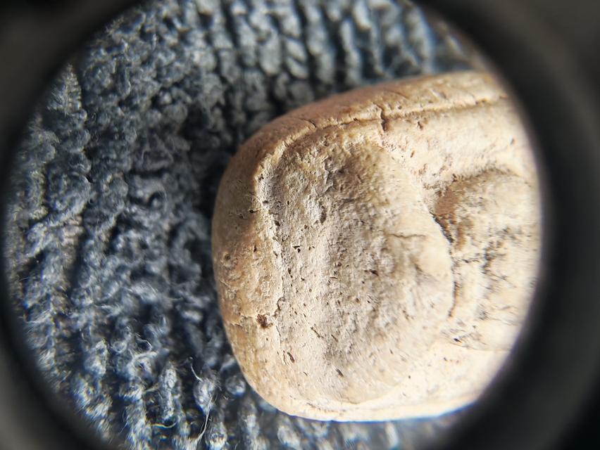 สมเด็จวัดพลับ พิมพ์พุงป่องใหญ่ รูปที่ 7