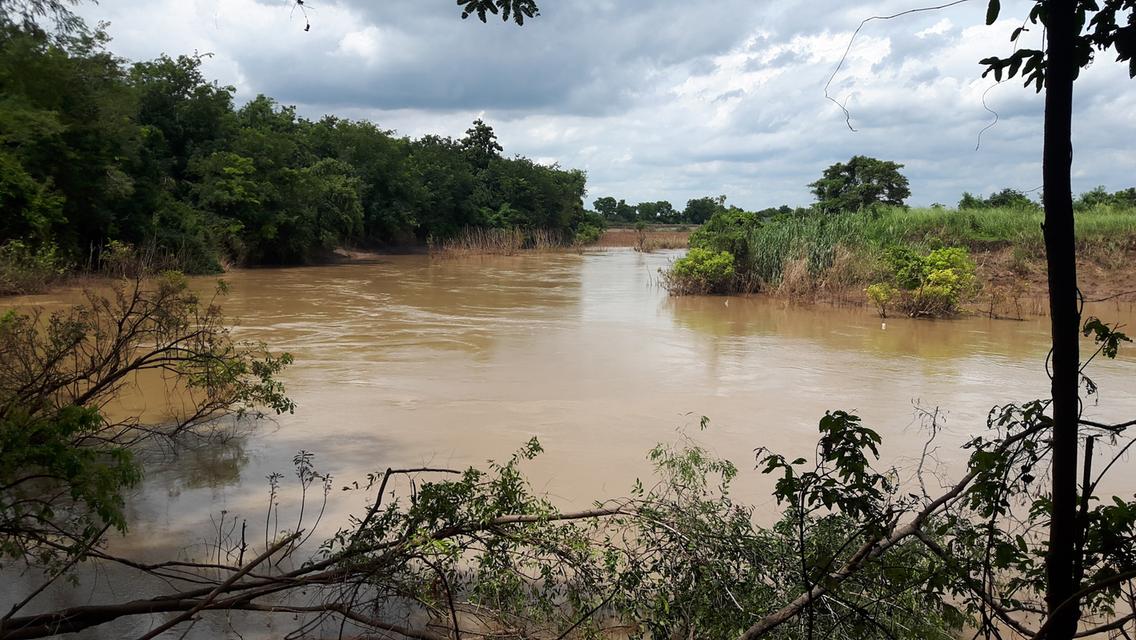 ขายที่ดินติดแม่น้ำป่าสัก 38-1-73 ไร่ แถมที่ดินเป็น น.ค.3 จำนวน 18 -2-59 ไร่