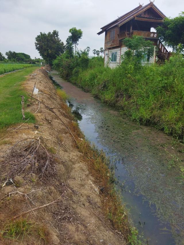 ที่ดินเปล่าติดถนนคอนกรีต