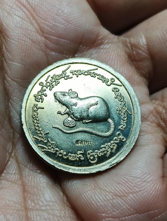 เหรียญพญาหนูเผือกหลวงปู่ศิลาลงยาเขียว 4