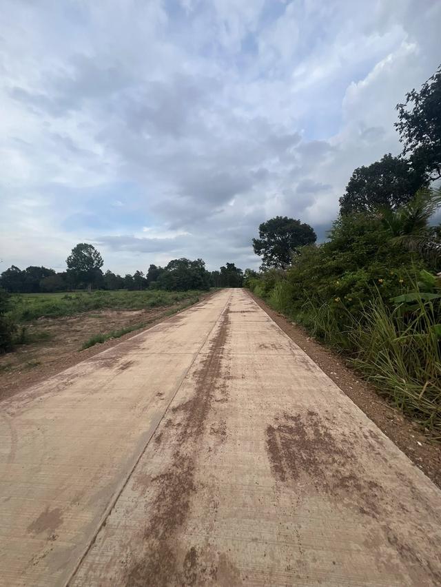 ขายที่ดินบ้านนา 9 ไร่ ใกล้นิคมบ่อทอง33-4กม. อ.กบินทร์บุรี ปราจีนบุรี