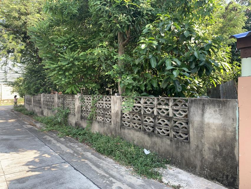 ที่ดินให้เช่าระยะยาว